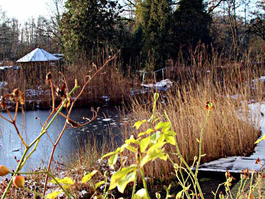 Teichtechnik bei NaturaGart