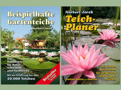 Auch Teiche können Sie jetzt noch bauen