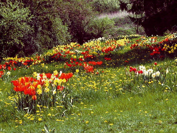 NaturaGart liefert ab sofort den Frühling