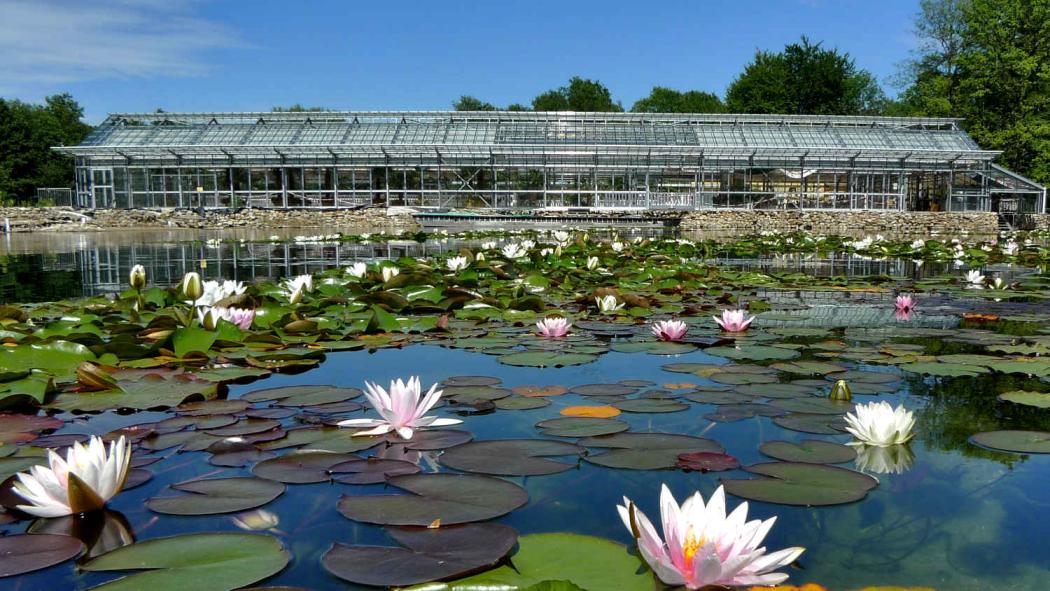 Bautechnik für große Natur- und Parkteiche