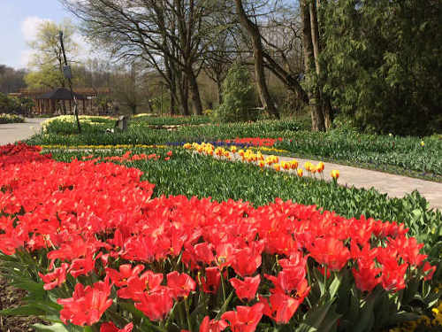 Frühling beim Teichspezialisten