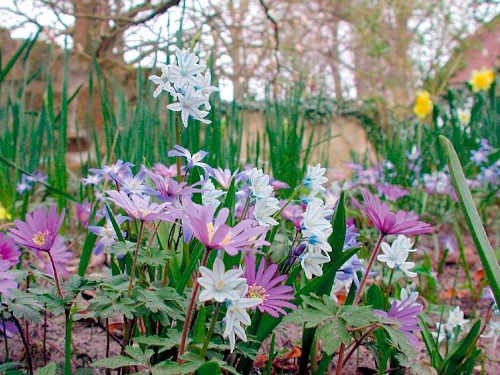 Jetzt den Frühling planen