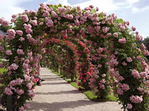 Bögen, Lauben, Gänge, Räume