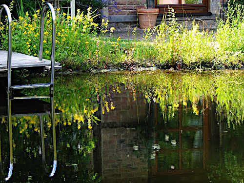 Gartenteich-Selbstbau
