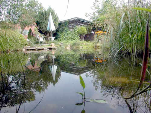 Gartenteich als komplettes Set