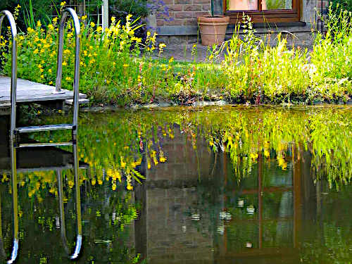 7 gute Gründe, einen Schwimmteich zu bauen