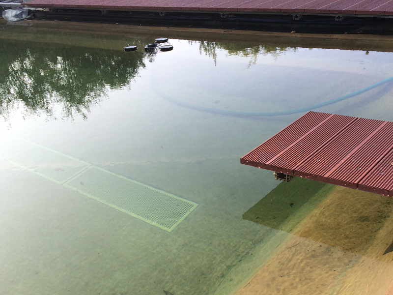 Teichbau-Seminare im Herbst