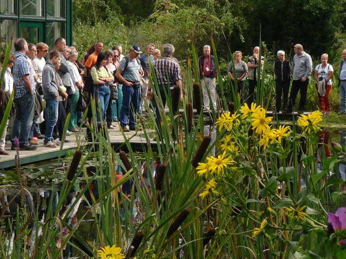 Herbst-Teichtreff 2015