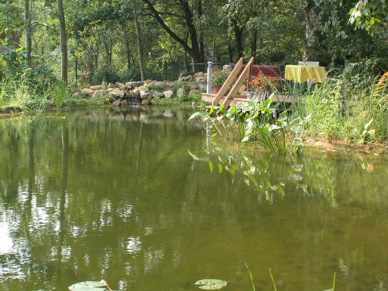 Komplett-Schwimmteich für ein individuelles Ergebnis: Teil 1
