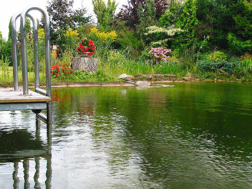 Komplett-Schwimmteich für ein individuelles Ergebnis: Teil 2