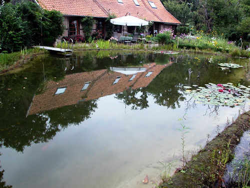 Komplett-Schwimmteich für ein individuelles Ergebnis: Teil 3
