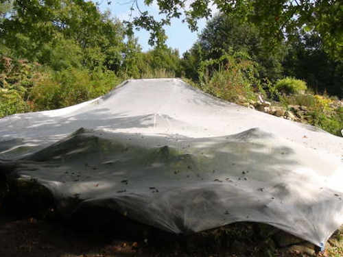 Laubschutz – Netz für Teiche