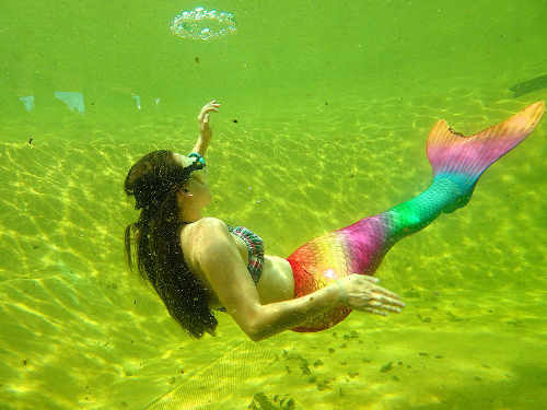 Meerjungfrauen im Tempelteich