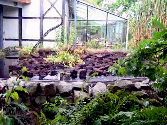 Neuer Teich im NaturaGart-Park: ein Mini-Moor