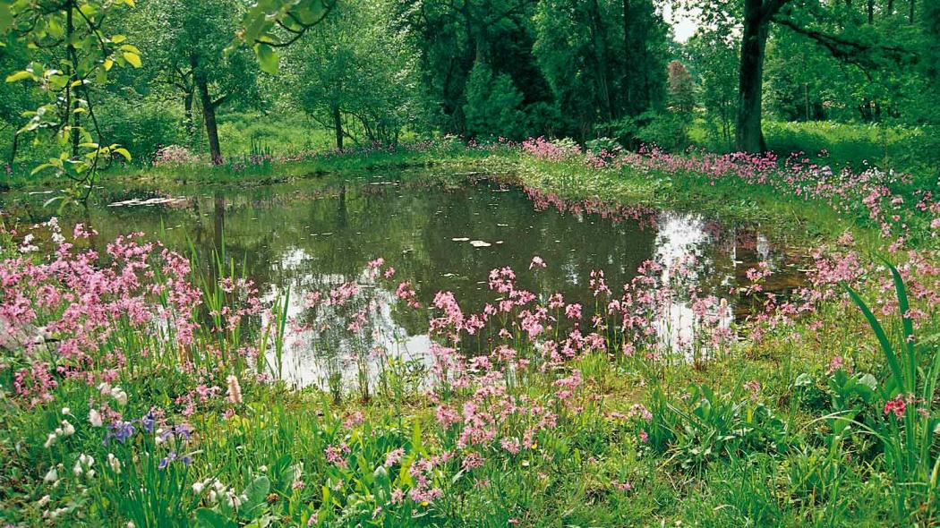 Zugänglichkeit, Pflege & Betrieb