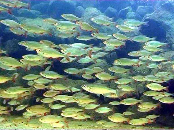 Nicht nur gut aussehen - auch unter Wasser gut sehen