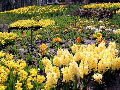 Endlich Frühling - Blütenpracht im NaturaGart Park