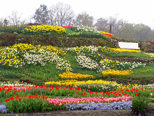 Deutliche Blühverzögerung im NaturaGart-Park