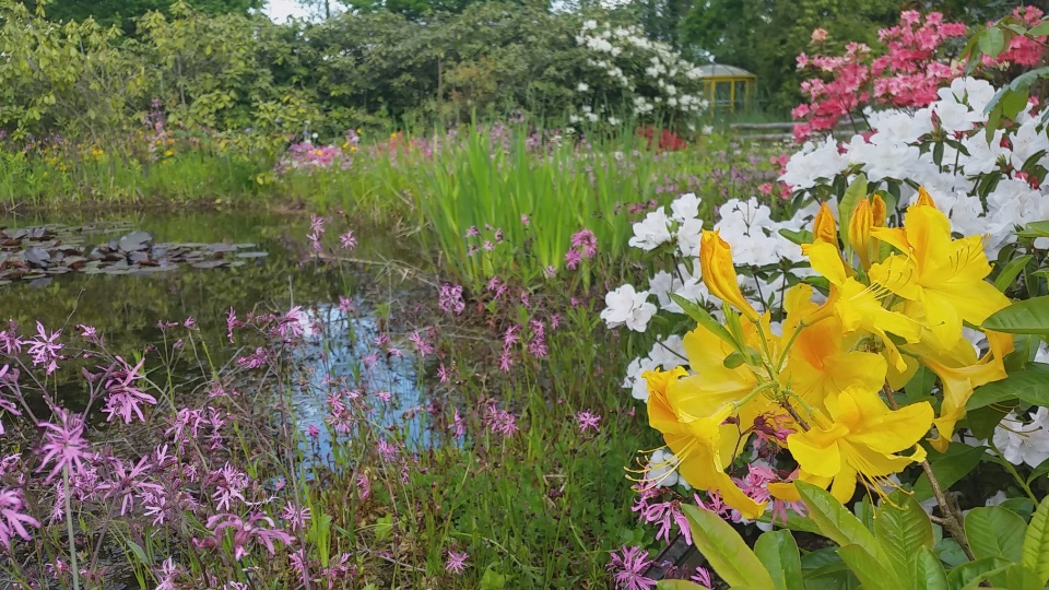 Entscheidungen, die später kaum korrigierbar sind
