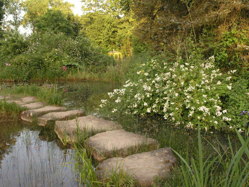 Teichbauseminar am 2. Juni bei NaturaGart - jetzt noch anmelden, es sind Plätze frei geworden!