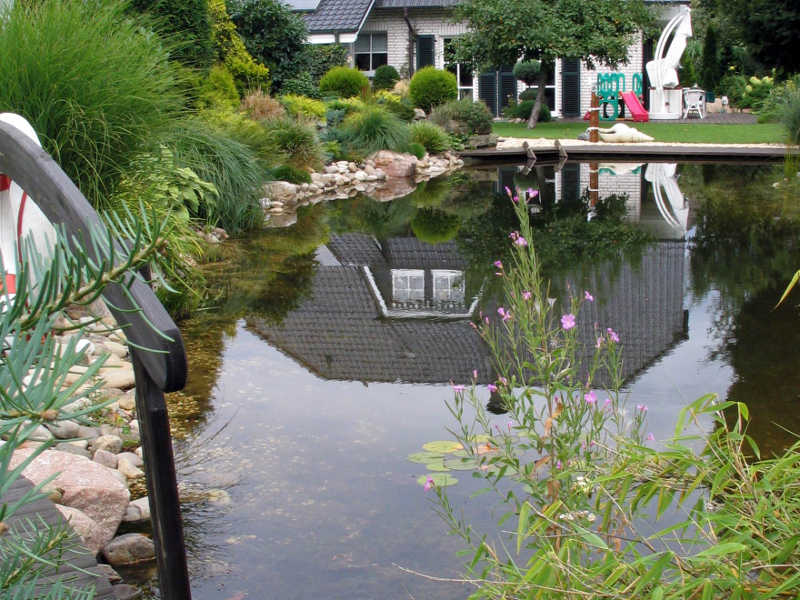 Schwimmteichpumpe im täglichen Einsatz