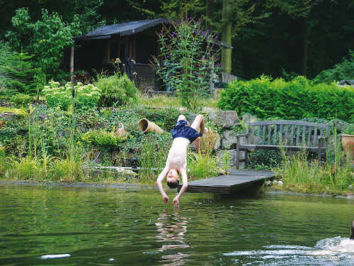 Teiche planen, bauen, pflegen - Tipp 5