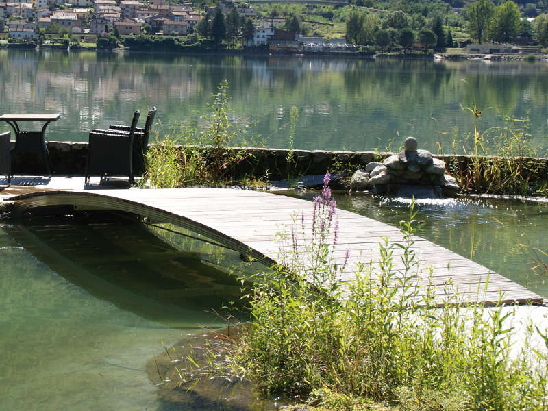 Schwimmteich Selbstbau