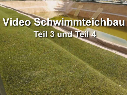 Schwimmteichbau Teil 3 und 4 – Wasserreinigung und Uferbau