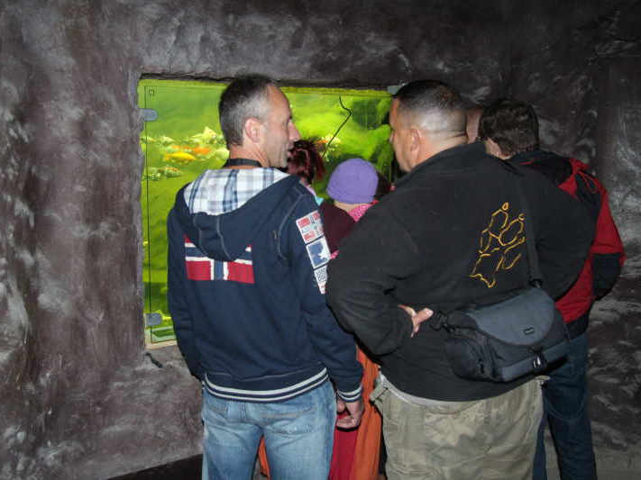 Den Teich bauen: Aber richtig!