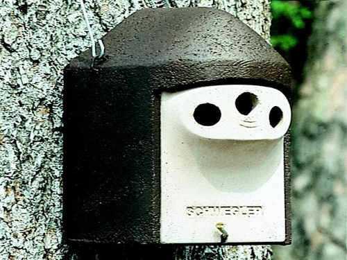 Vogelschutz = biologische Schädlings-Abwehr