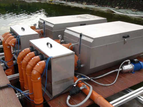 Spitzen-Sicht beim Tauchen