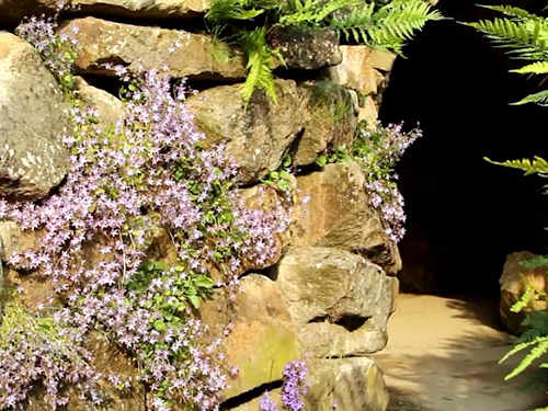 NaturaGart Nachrichten vom 21.6.2013