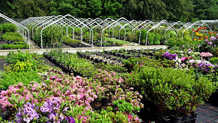 Gärtner*In für die Gärtnerei (m/w/d)