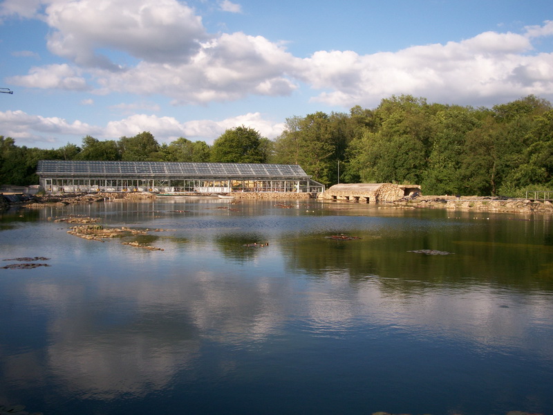 Tauchen wie Hans Hass .......