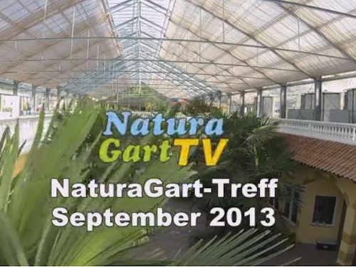 Teich-Treff Herbst 2013