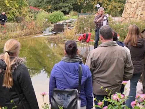 Teiche planen, bauen, pflegen - Tipp 18