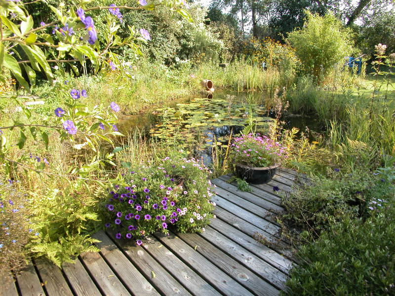 Teiche unserer Kunden – Eine Fotogalerie an Teichideen