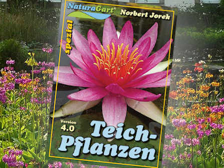 Teichpflanzen - Die Pflanzanleitung von NaturaGart