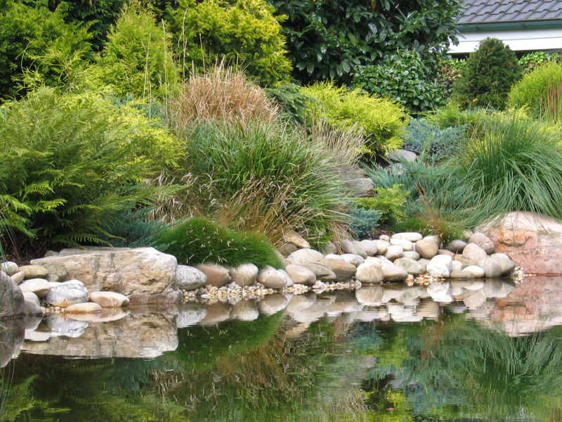 Teichrand-Gestaltung