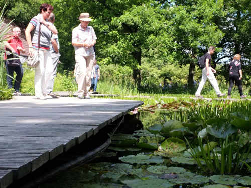 Steg am Gartenteich – Urlaub am Wasser