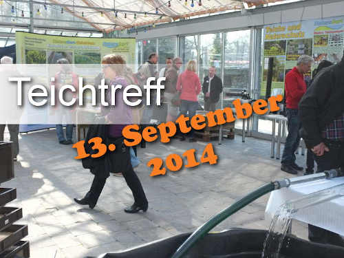 Teichtreff am 13. September: Wie saniert man Teiche?