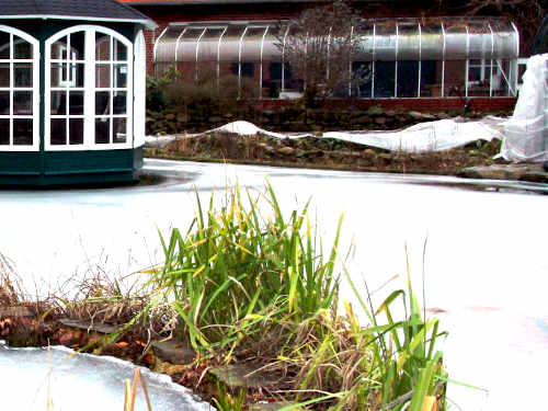 Praktische Tipps für den winterlichen Garten