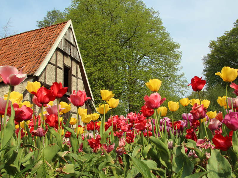 NaturaGart Nachrichten 28.05.2013