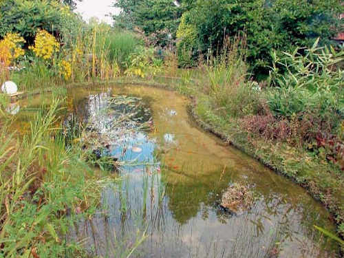 So sichern Sie Ihr Teichufer