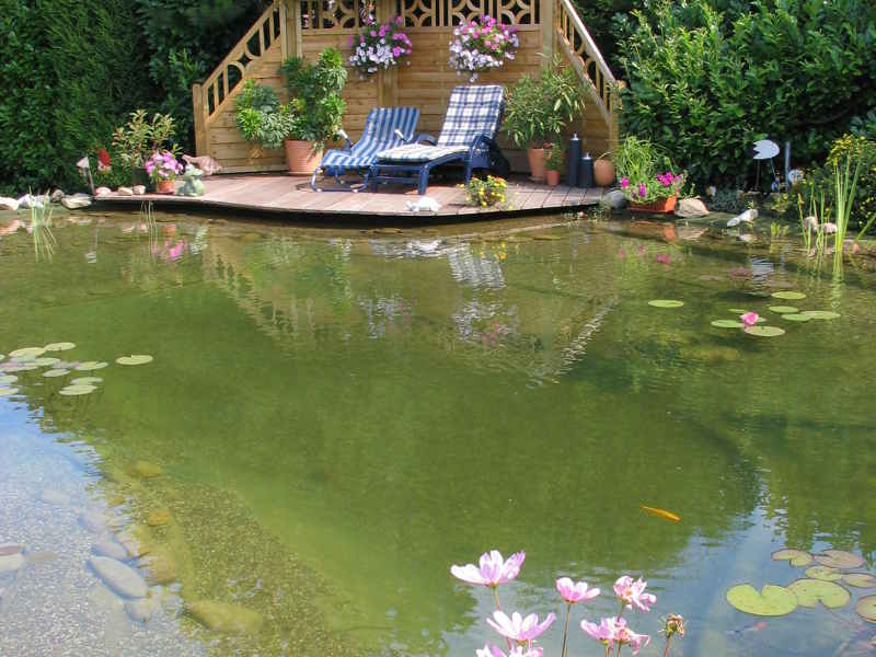 Vorteil Schwimmteich