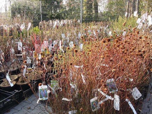 Durch das Gartenjahr