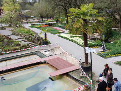 Live-Blick in den Park