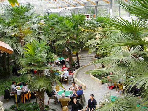 Pfingsten Spargelbuffet im Palmen-Bistro