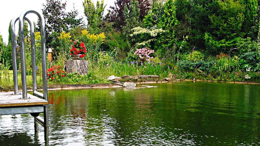 Zum Thema Schwimmteich