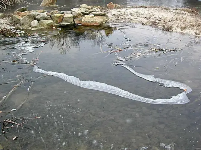 Wie mache ich meinen Teich winterfest?